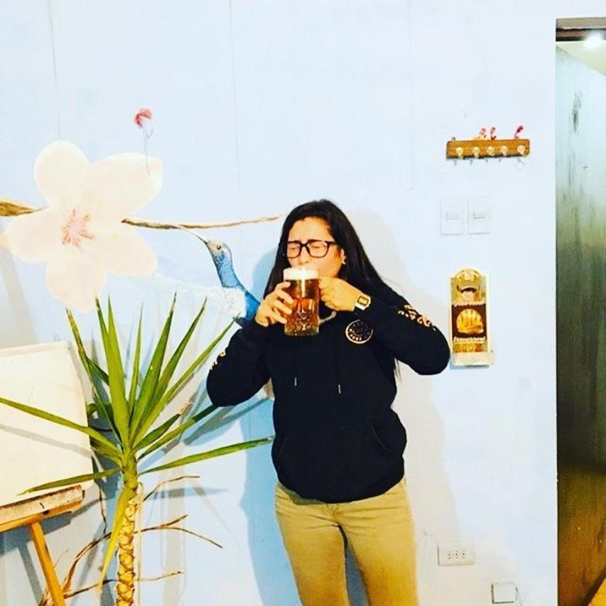 Beer&beer Bed & Breakfast Valparaiso